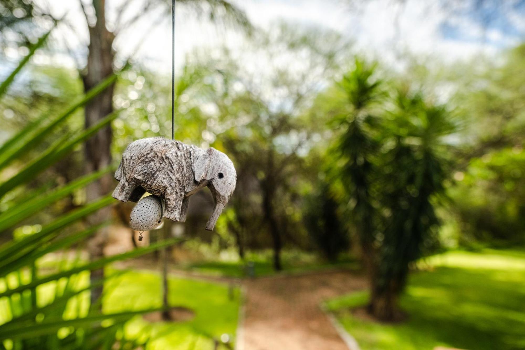 Taranga Safari Lodge Rundu Eksteriør bilde
